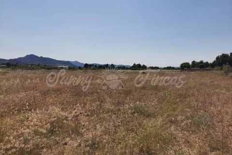 Helårsgrund i Sax, Alicante, Sax - € 59.000 | Ref: SF0315 - foto 5